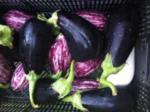 mixed eggplant