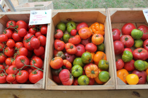 heirloom tomatoes in crate farmers market