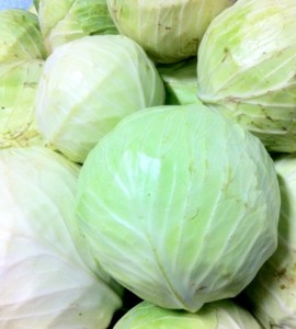 bulk green cabbage