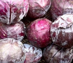 red cabbage bulk