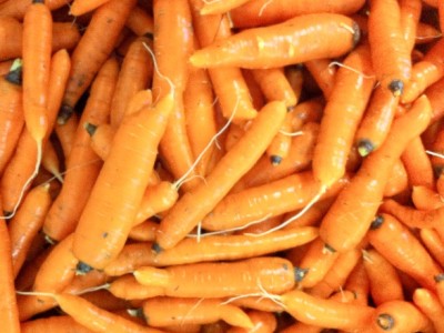 bulk orange carrots