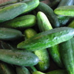 Quickles: Refrigerator Pickles