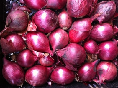 bulk red onions
