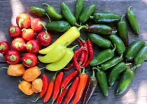 organized peppers