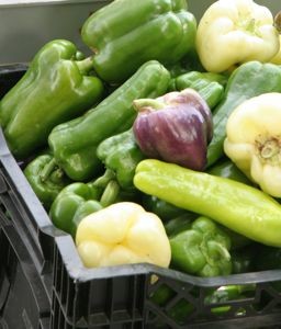 green purple and white peppers in crate