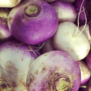 purple top turnip