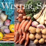 Cook with us this Fall & Winter!
