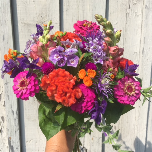 Brightly colored bouquet by the barn.