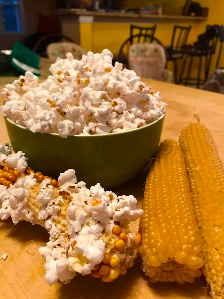 popcorn popped in a bowl