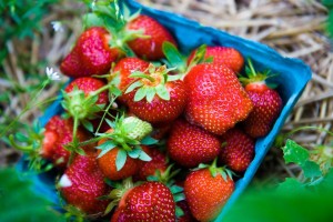strawberry basket