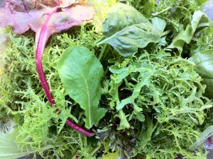 salad mix mesclun braising beet greens