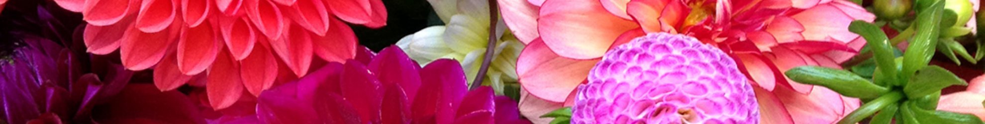 Contact Us backgound banner