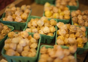 husk cherries