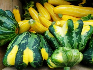 summer squash