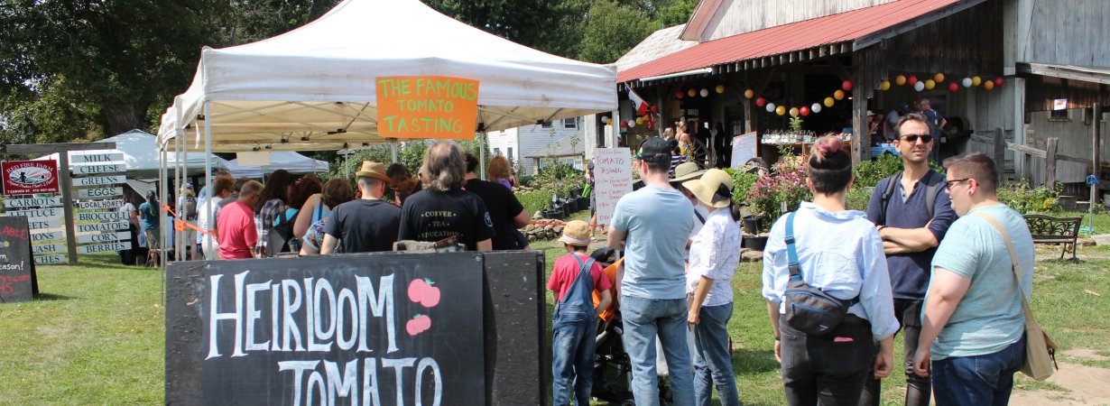 Tomato fair